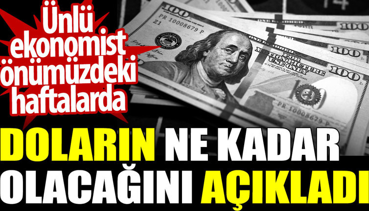 Ünlü ekonomist doların önümüzdeki hafta ne kadar olacağını açıkladı