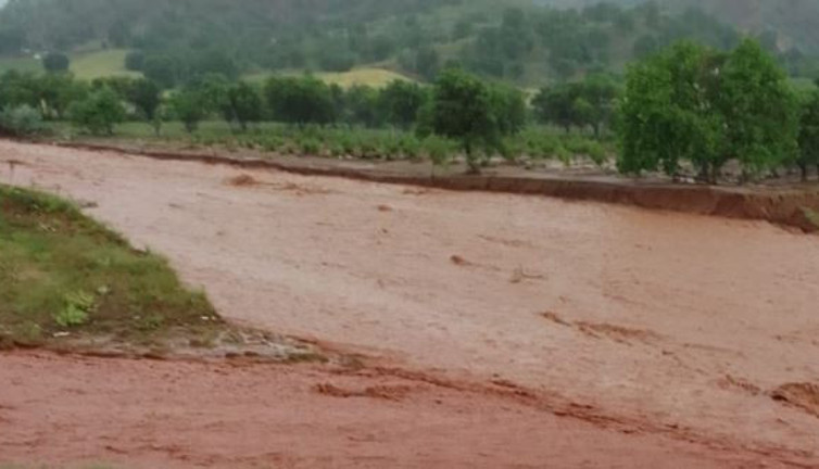 İkinci kez selin vurduğu köyde dereler taştı yol çöktü