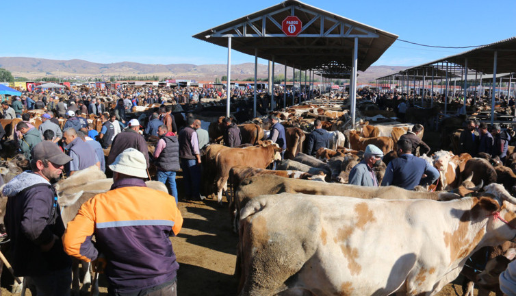 Şap karantinası nedeniyle Sivas'ta kurban pazarı açılmayacak