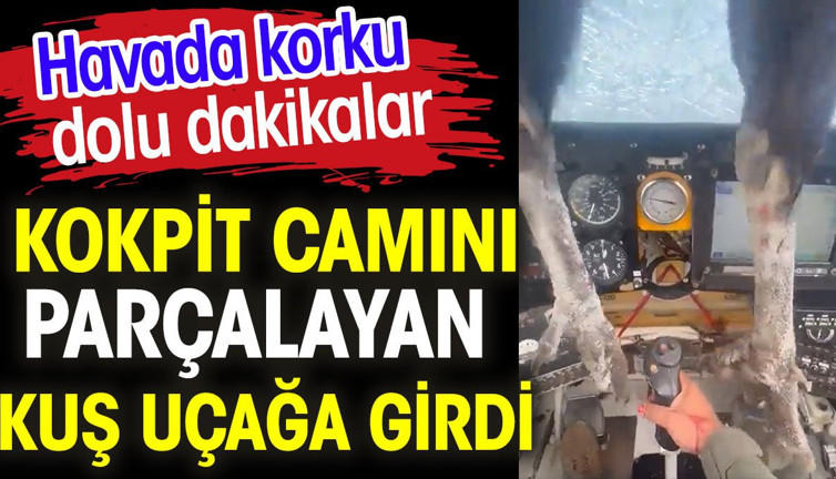 Kokpit camını parçalayan kuş uçağa girdi. Havada korkulu dolu dakikalar