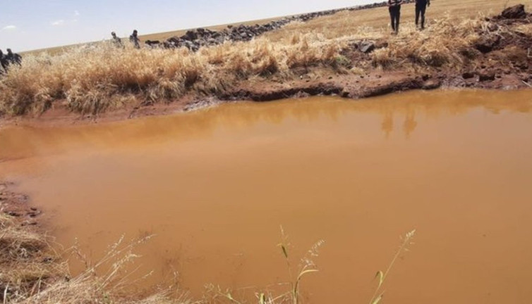 Gölete giren 3 arkadaştan biri hayatını kaybetti