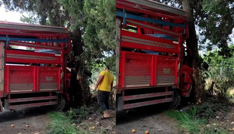 Meyve yüklü kamyonet ağaca çarptı: 1 ölü, 6 yaralı