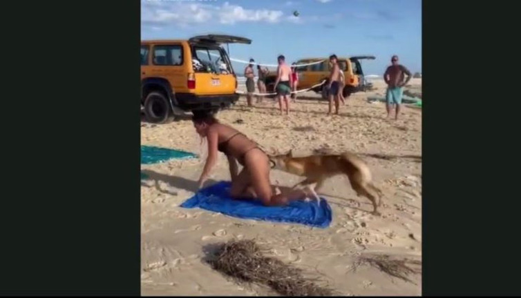 Plajda panik: Fransız turisti uzun uzun kokladı sonra dayamayıp hart ısırdı