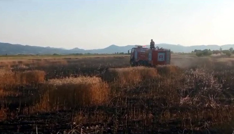 15 dönümlük tarlada çıkan yangın tonlarca buğdayı küle çevirdi