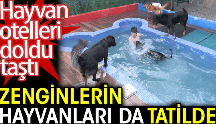 Zenginlerin hayvanları da tatilde. Hayvan otelleri doldu taştı