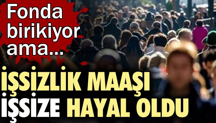 İşsizlik maaşı işsize hayal oldu. Fonda birikiyor ama...