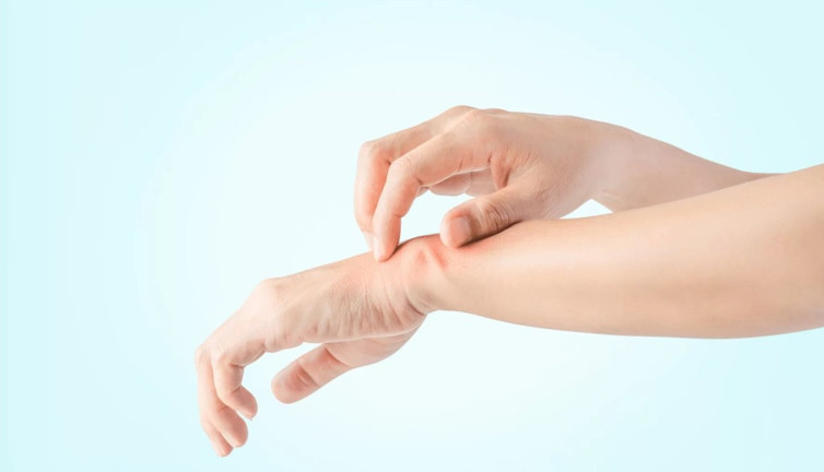 Sivrisinek ve böcekleri uzaklaştıran bitkiler ortaya çıktı