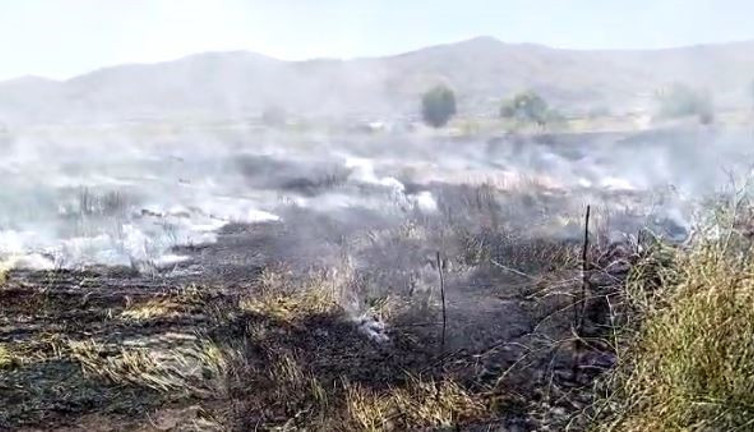 10 dönüm tarım arazisi yandı