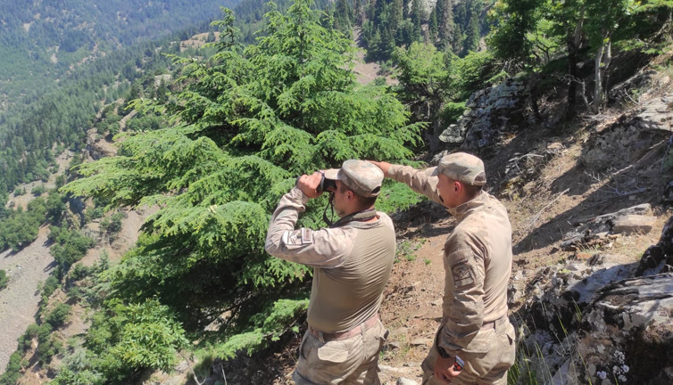Kaybolan Alzheimer hastasını 60 kişilik jandarma ekibi arıyor
