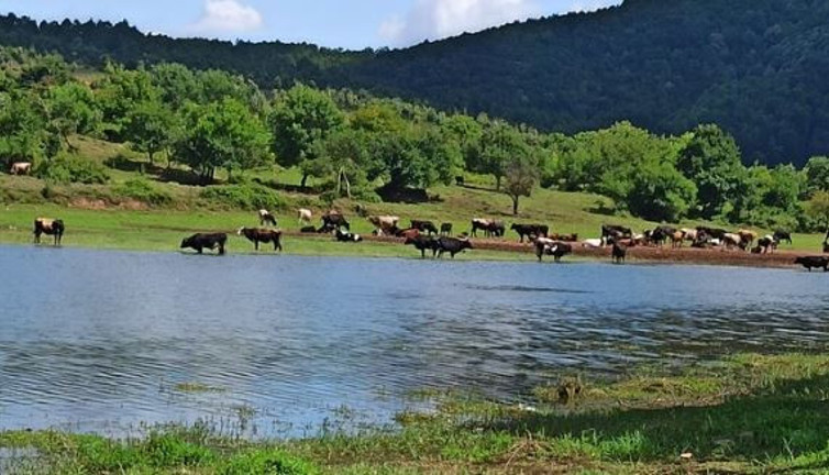 İstanbul barajlarında alarm zilleri çalıyor. İSKİ az önce açıkladı