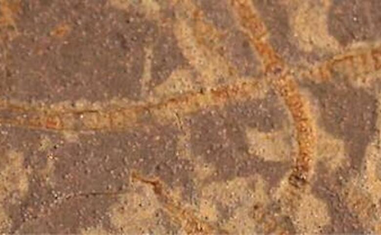 3 milyar yıllık yaşamın izleri bulundu - Resim : 4