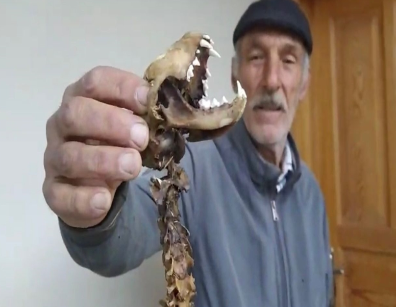 Paniğe kapılıp yetkililere haber verdi! 'İlk kez böyle bir şey gördüm...' - Resim : 2