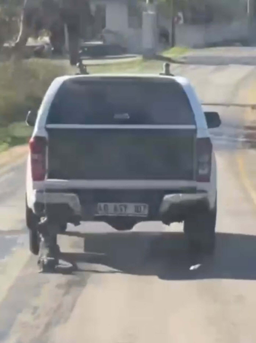 Araca bağladığı köpeği metrelerce sürükledi! Sürücü gözaltına alındı - Resim : 2