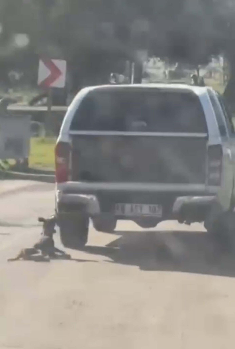 Araca bağladığı köpeği metrelerce sürükledi! Sürücü gözaltına alındı - Resim : 1
