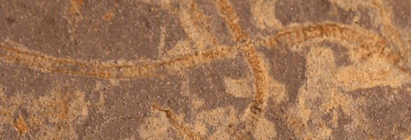 3 milyar yıllık yaşamın izleri bulundu - Resim : 2