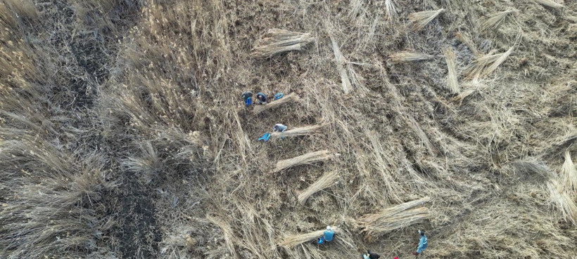 Kuraklık hasadı erkene çekti! 301 kuş türüne ev sahipliği yapıyor - Resim : 4