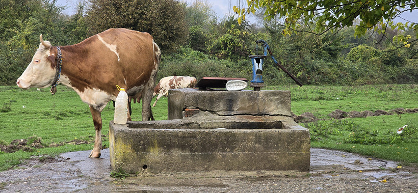 Koramanlar Köyü'nde korkunç olay: Su kuyusunda genç kızın cesedi bulundu! İntihar mı, cinayet mi? - Resim : 2
