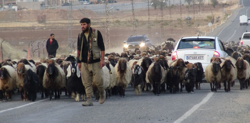 Yollarda gecen 3 aylık yolculuk başladı - Resim : 2