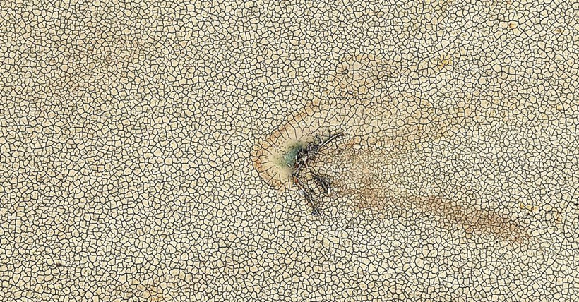 Türk tarımının kalbi 2 baraj kurudu. Ağaçlar ve sebzeler susuz kaldı - Resim: 4