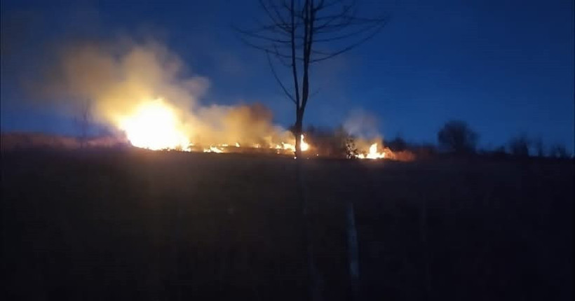 Ordu’da fındık bahçesinde yangın - Resim : 1
