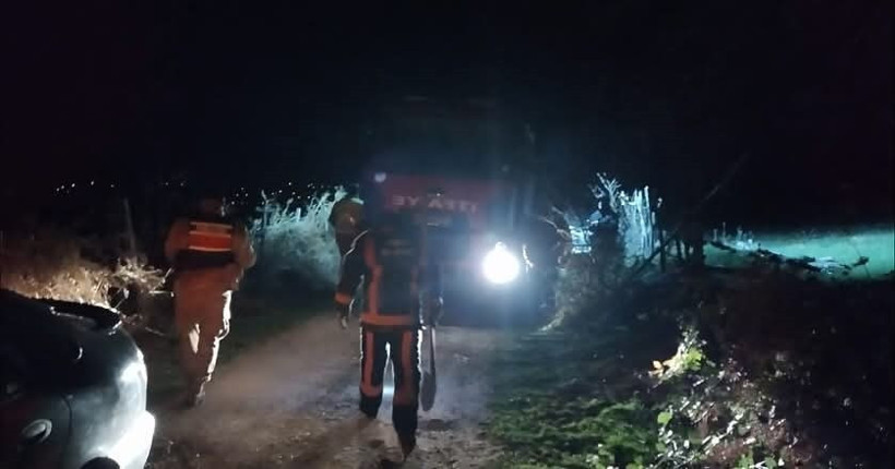 Ordu’da fındık bahçesinde yangın - Resim : 2