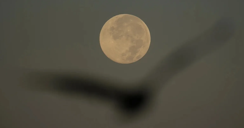 Süper Ay gecesine hazır olun - Resim : 1