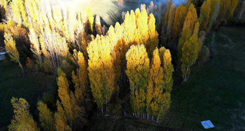 Değirmenaltı köyü büyülüyor: Sarı-Kırmızı şölen! - Resim : 3