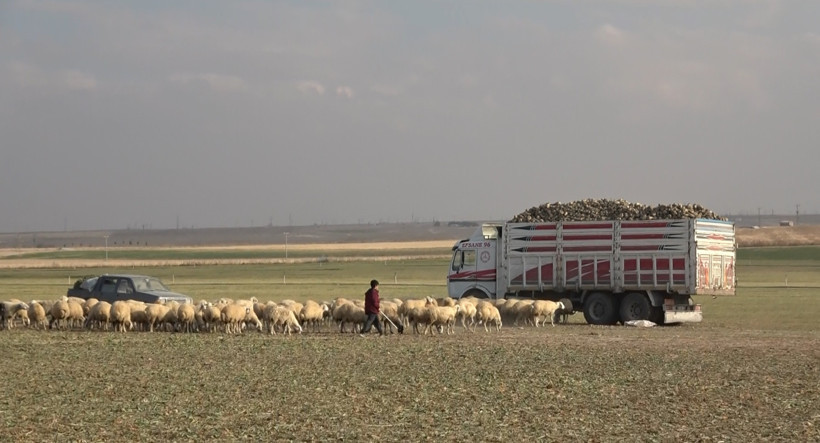 Önce Konya sonra Aksaray... Obrukların sırrı - Resim : 1