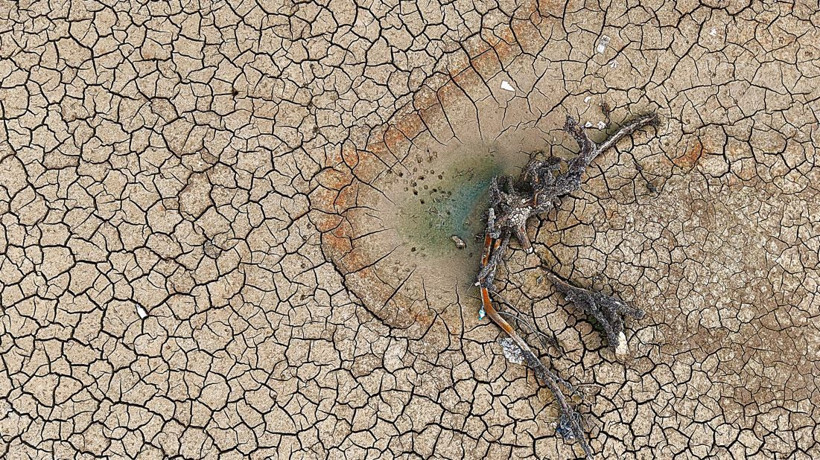 Türk tarımının kalbi 2 baraj kurudu. Ağaçlar ve sebzeler susuz kaldı - Resim: 5