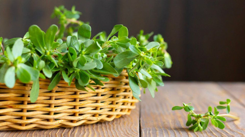 Canan Karatay’dan kış uyarısı: Bu yiyecekleri sofranızdan eksik etmeyin - Resim: 5