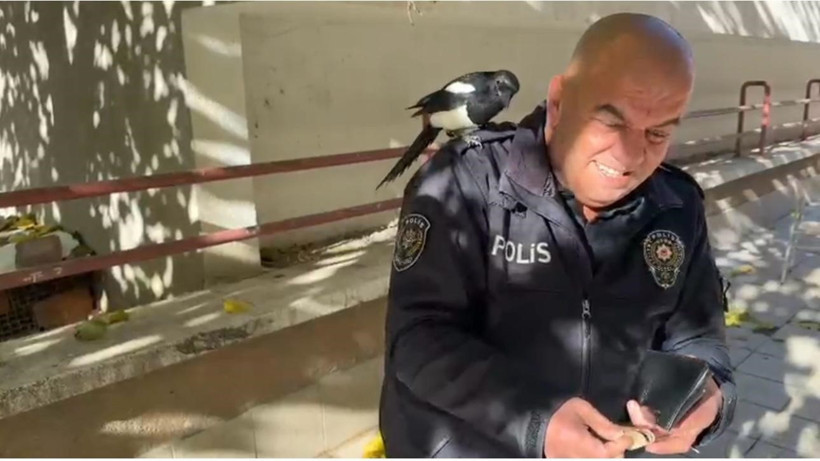 Dostlukları tebessüm ettiriyor: Polis memuru ile saksağan kuşunun dostluğu görenlerin içini ısıtıyor - Resim : 1