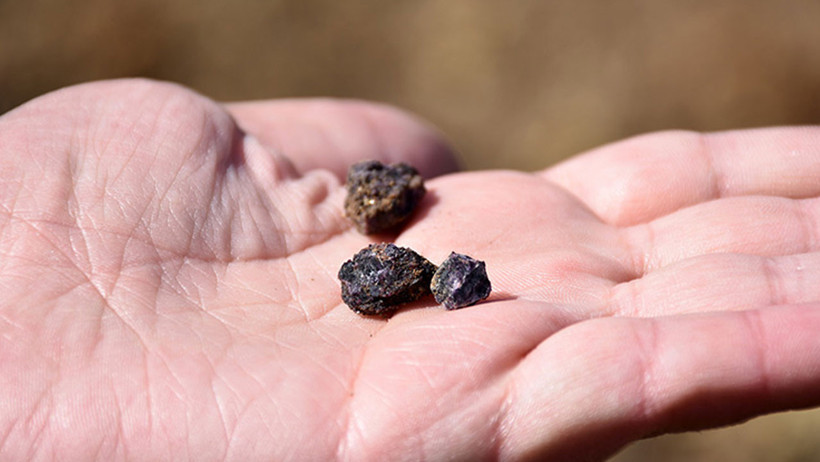 Donald Trump Türkiye'deki bu elementlerin peşinde - Resim : 1