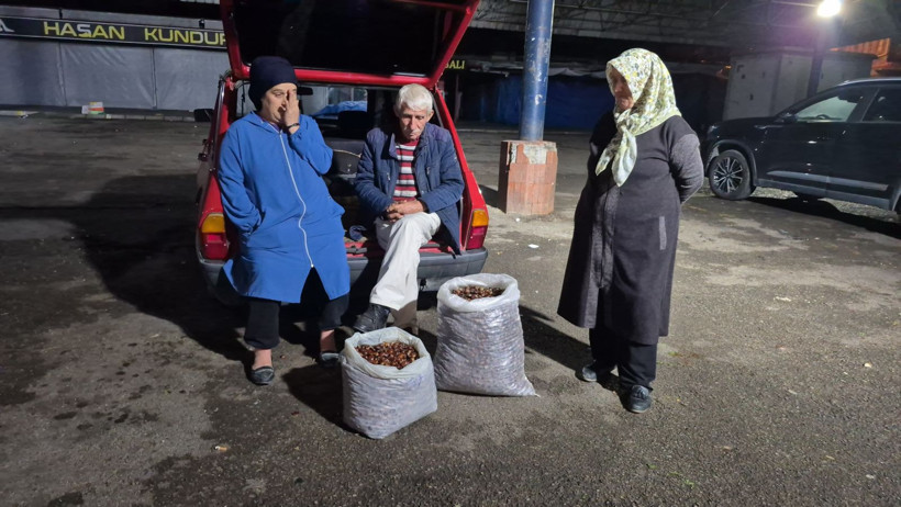 Parasız kalan dağdan topluyor kilosunu 400 TL'ye satıyor. Ne karışan var, ne de mesai saati - Resim: 2