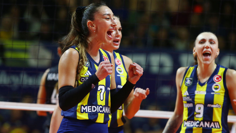 Kanarya uçtu, THY düştü - Resim : 1