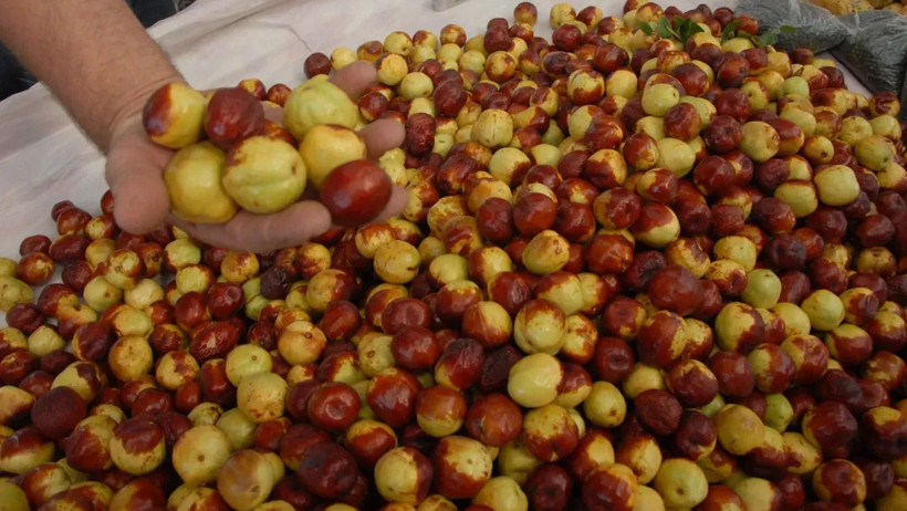 Uykusuzluğa ve öksürüğe karşı doğal çözüm - Resim : 1