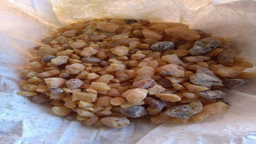 Mide rahatsızlıklarına karşı doğal destek! Cam Sakızı - Resim : 1