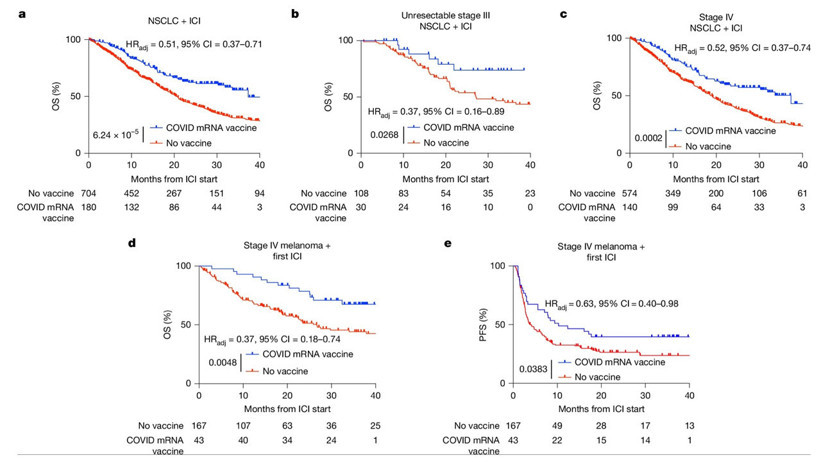 COVID-19 mRNA aşılarında beklenmedik etki: Kanser tedavisine katkı sağlıyor - Resim : 2