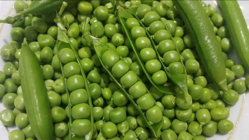 Şifa dolu bir sebze! Bezelyeyi nasıl tüketmeliyiz? - Resim : 1