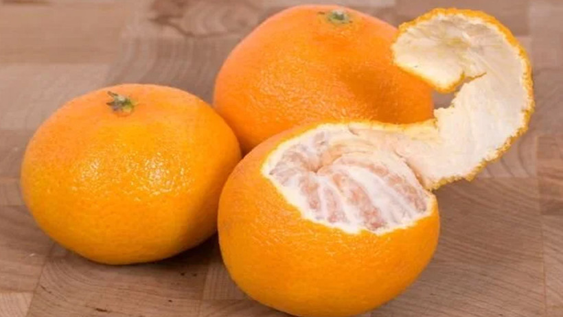 C vitamini deposu! Mandalina alırken dikkat edilmesi gerekenler - Resim : 2