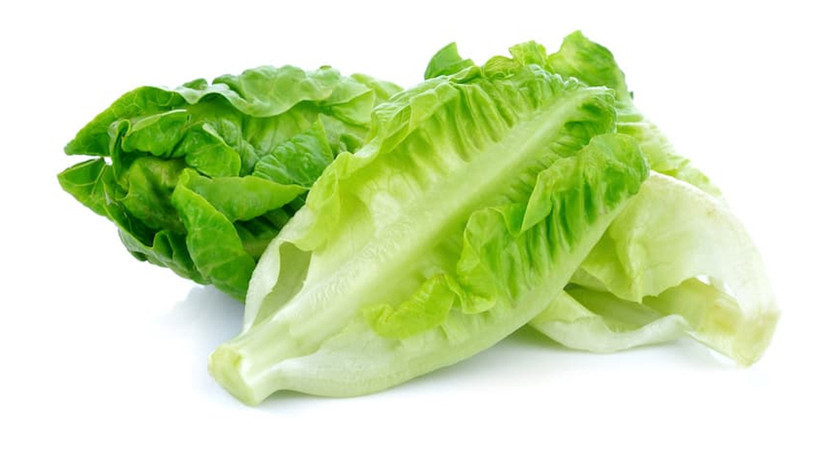 Salataların yeşil kahramanı - Resim : 2