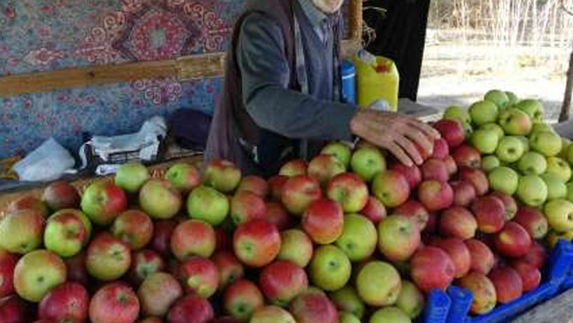 Elma alırken neler dikkat edilmeli? - Resim : 1