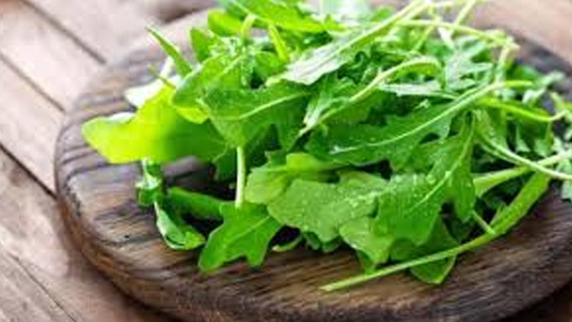 Suda mı Güneşte mi? Su Teresinin gerçek gücü - Resim : 2