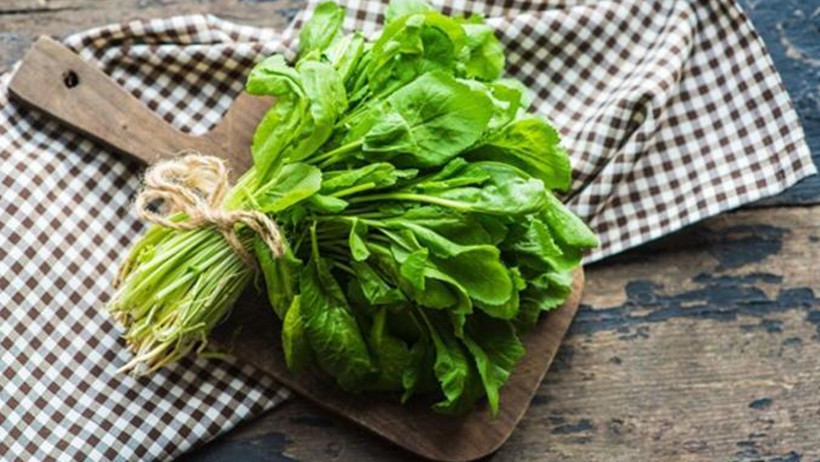 Suda mı Güneşte mi? Su Teresinin gerçek gücü - Resim : 1