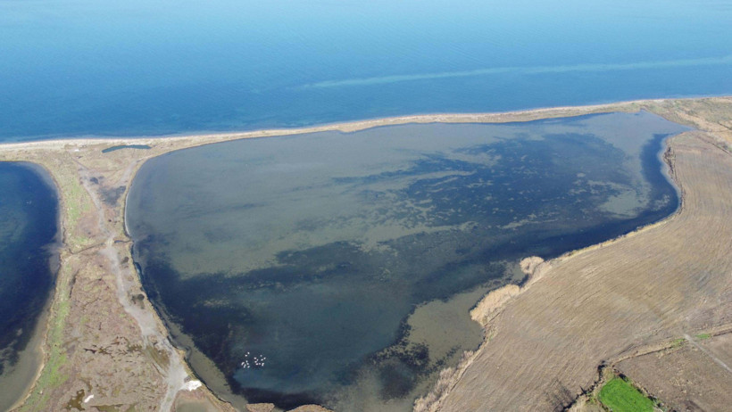 Su döngüsü durdu! Çardak Lagünü’nün zenginliği yok olma eşiğindi - Resim : 3