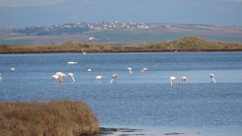 Su döngüsü durdu! Çardak Lagünü’nün zenginliği yok olma eşiğindi - Resim : 5