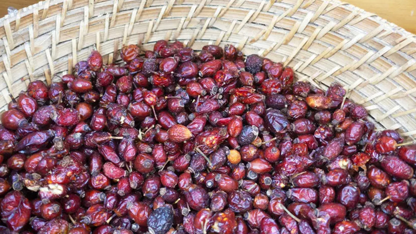 Kuşburnunun bilinmeyen faydaları ve zararları - Resim : 1