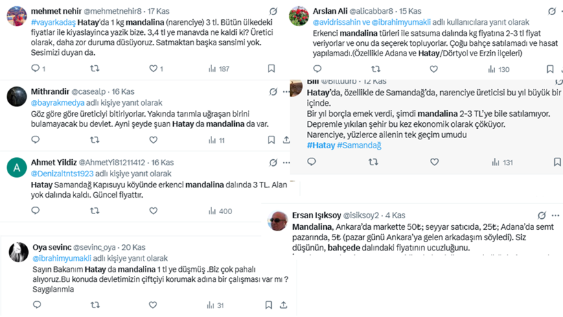 Ürünler dalda kaldı: Üretici de şikayetçi tüketici de - Resim : 1