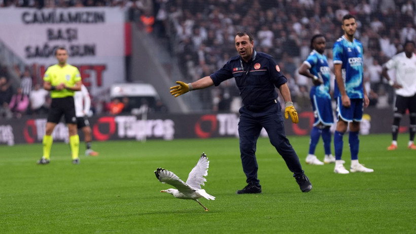 Beşiktaş-Samsunspor maçında martı sürprizi: Süleyman Seba'yı hatırlattı - Resim : 1