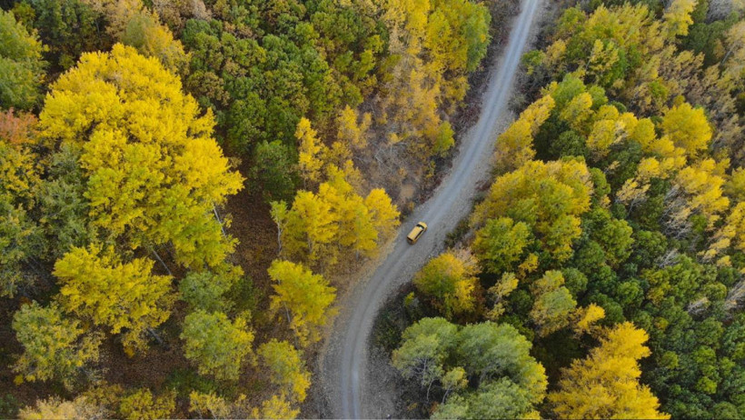 Mahkemeden Munzur'a koruma kararı: Baraj ve HES projelerine ret - Resim : 2