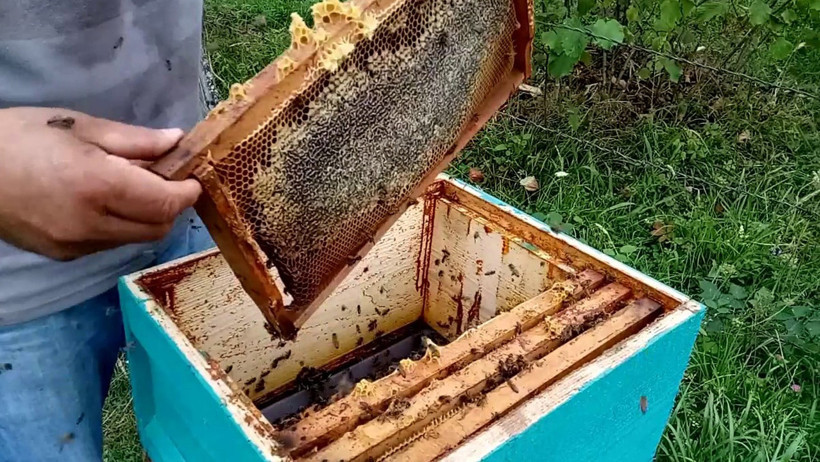 Bal nasıl yenirse faydalı olur? - Resim : 2